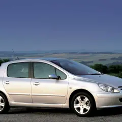 Srebrny Peugeot 307 2.0 HDI na tle malowniczego krajobrazu.