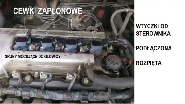 Silnik z widocznymi cewkami zapłonowymi, śrubami mocującymi do głowicy i wtyczkami od sterownika. Gotowy do wymiany cewki zapłonowej.